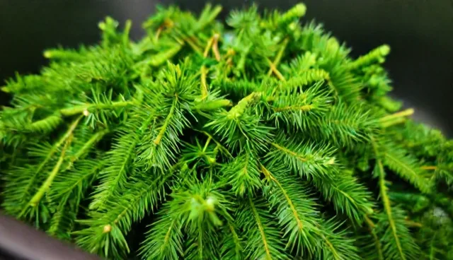 培训方法：如何提升培训质量的选型关注点